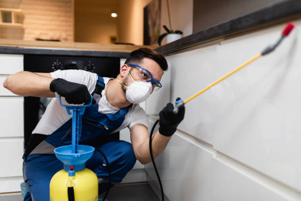 Trusted Wildwood Crest, NJ Pest Control Experts