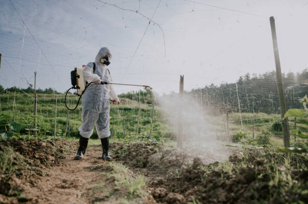 Best Mosquito Control Services  in Wildwood Crest, NJ