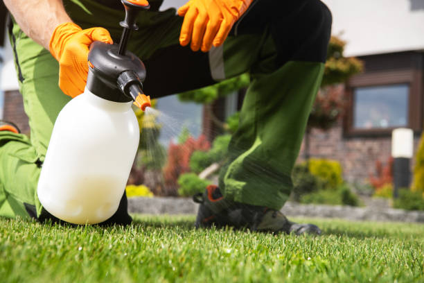 Best Pest Removal Services  in Wildwood Crest, NJ