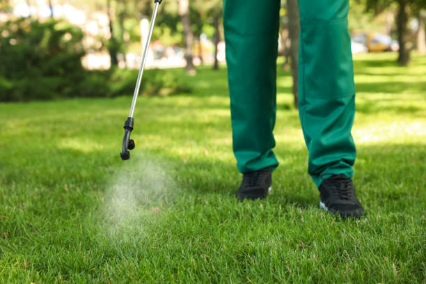 Best Pest Prevention Services  in Wildwood Crest, NJ