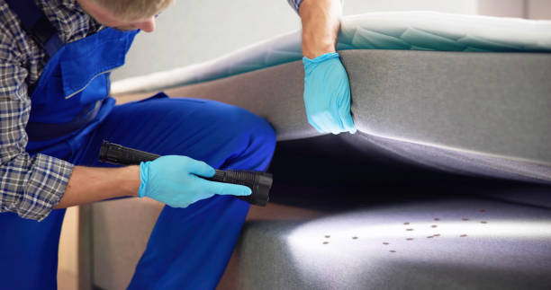 Best Cockroach Control Services  in Wildwood Crest, NJ