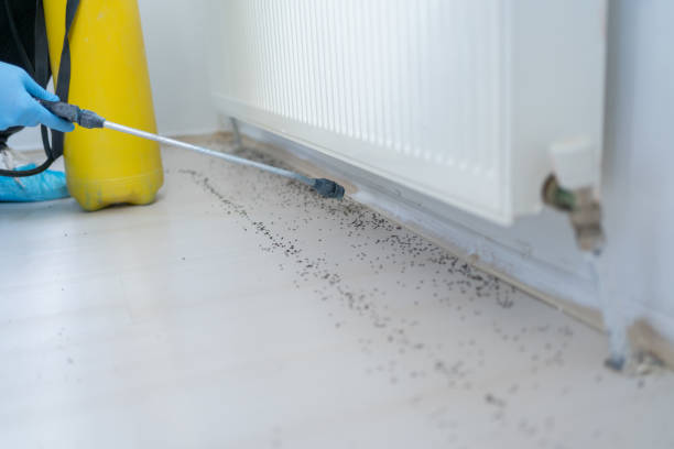 Pest Control Cost in Wildwood Crest, NJ