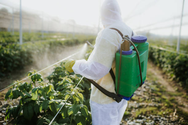 Best Pest Inspection Near Me  in Wildwood Crest, NJ